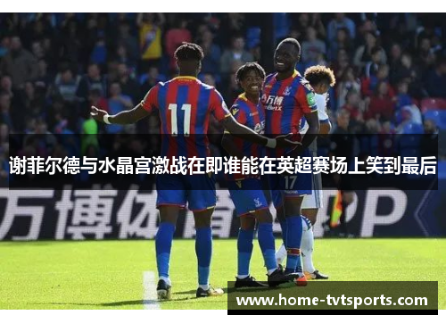 谢菲尔德与水晶宫激战在即谁能在英超赛场上笑到最后